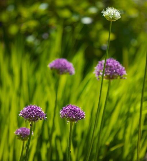 Westbrook House B & B