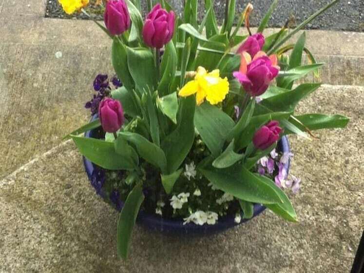 مبيت وإفطار Walkers Nest