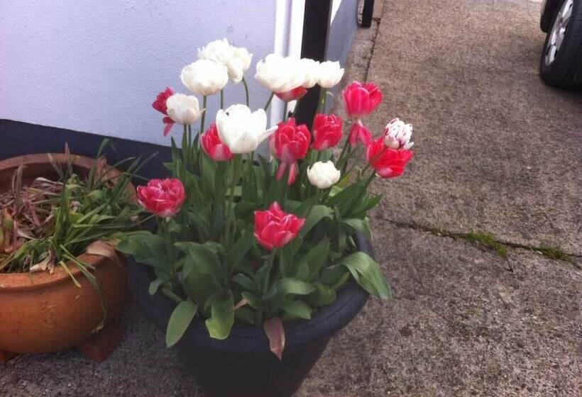 مبيت وإفطار Walkers Nest