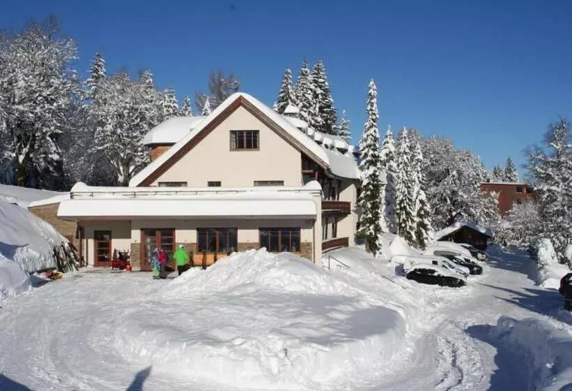 Hotel Bödele Alpen