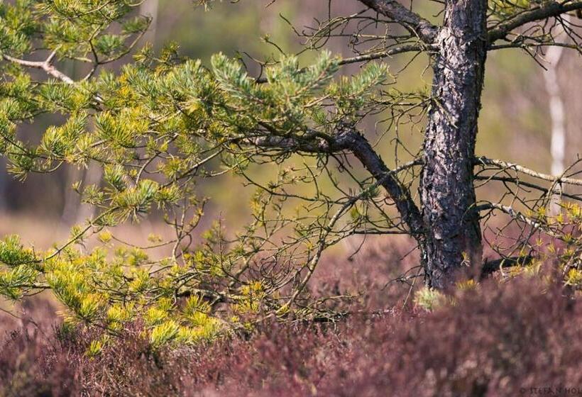Отель Bödele Alpen