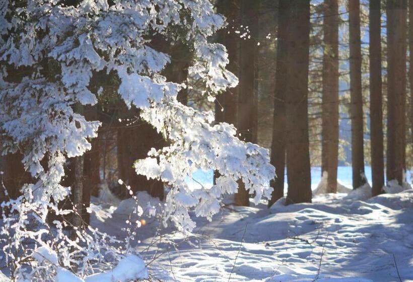 호텔 Pension Oberjörg