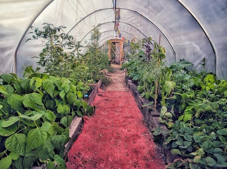 The Black Sheep Hostel