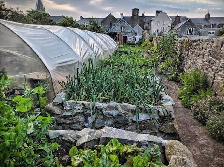 The Black Sheep Hostel