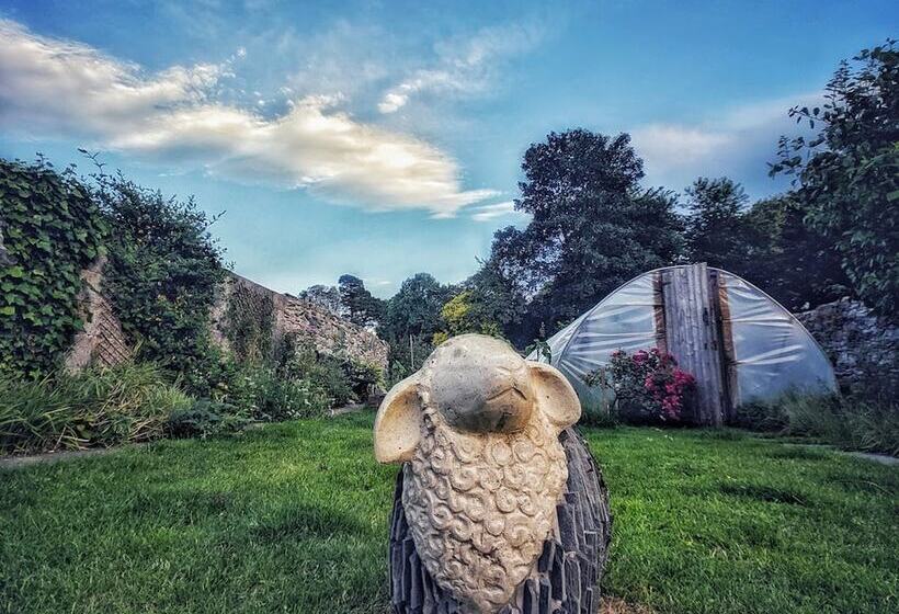 The Black Sheep Hostel