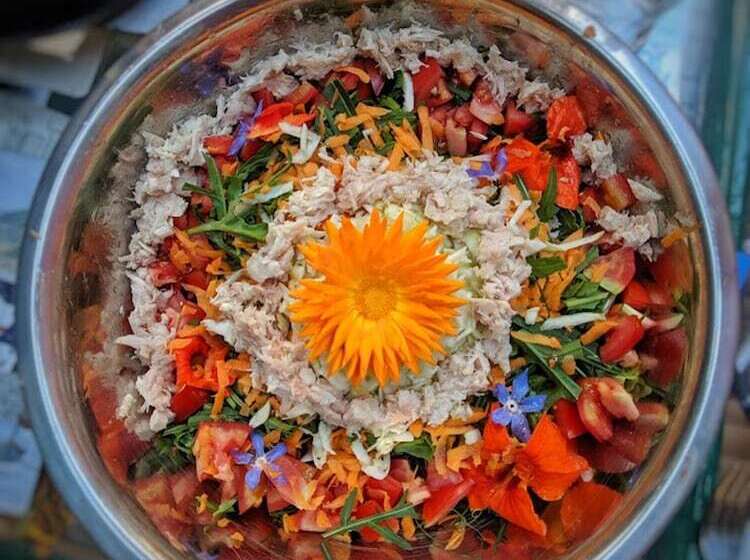 The Black Sheep Hostel