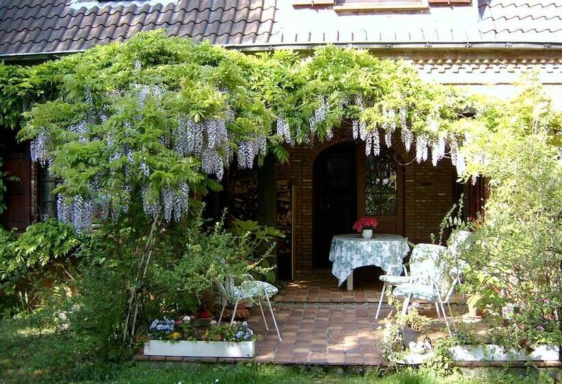 B&b T Nieuw Lijsternest