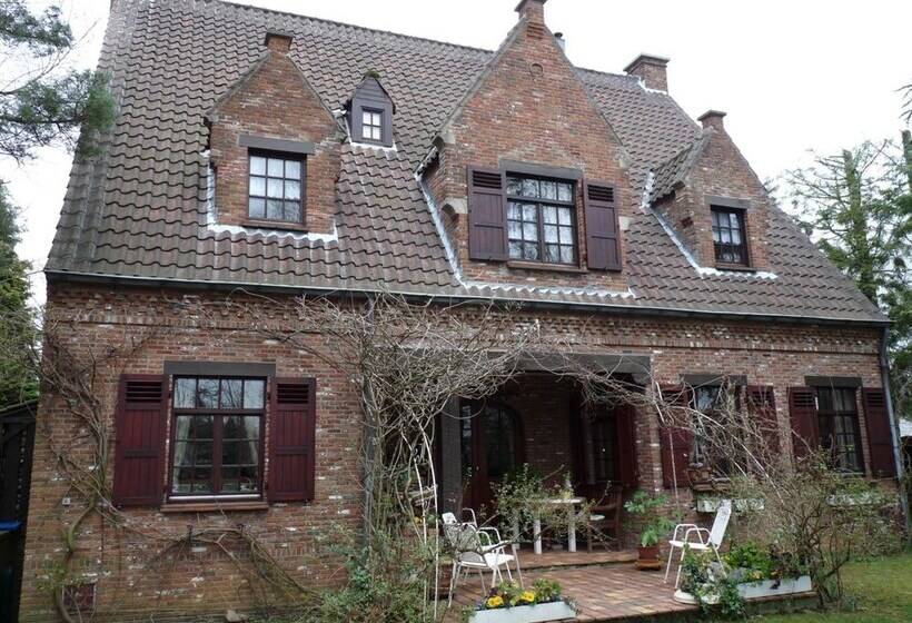 B&b T Nieuw Lijsternest