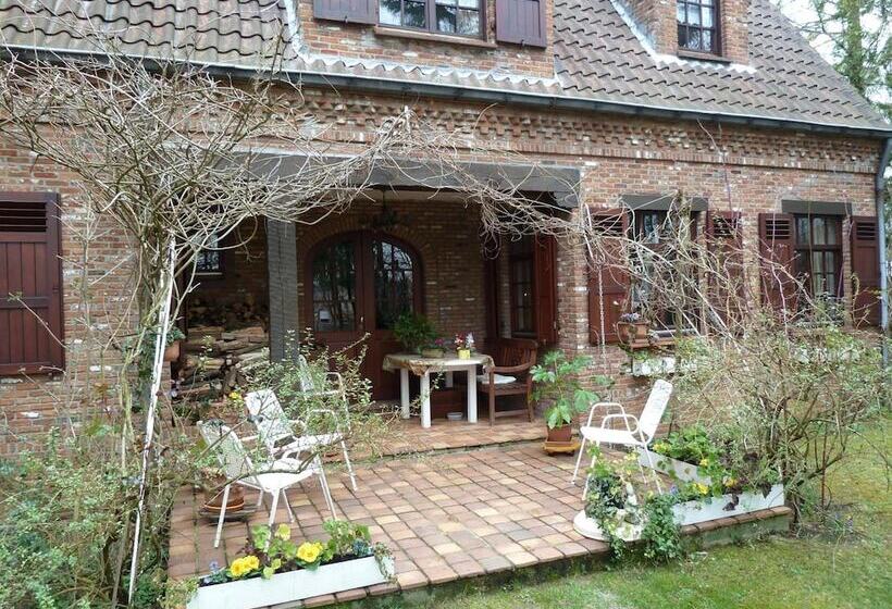 B&b T Nieuw Lijsternest