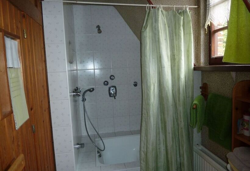 B&b T Nieuw Lijsternest