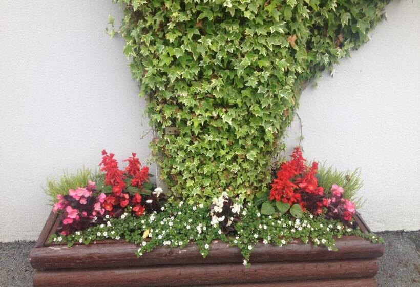 ベッドアンドブレックファースト Carragh House