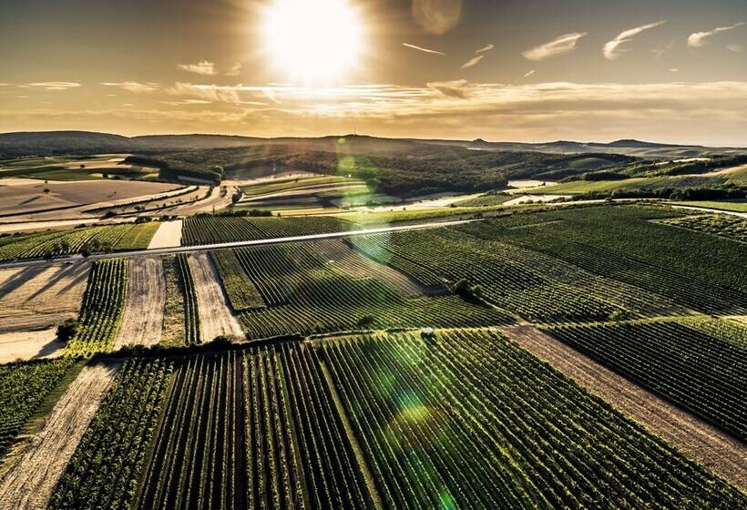 Genießerhof Haimer   Hotel Garni