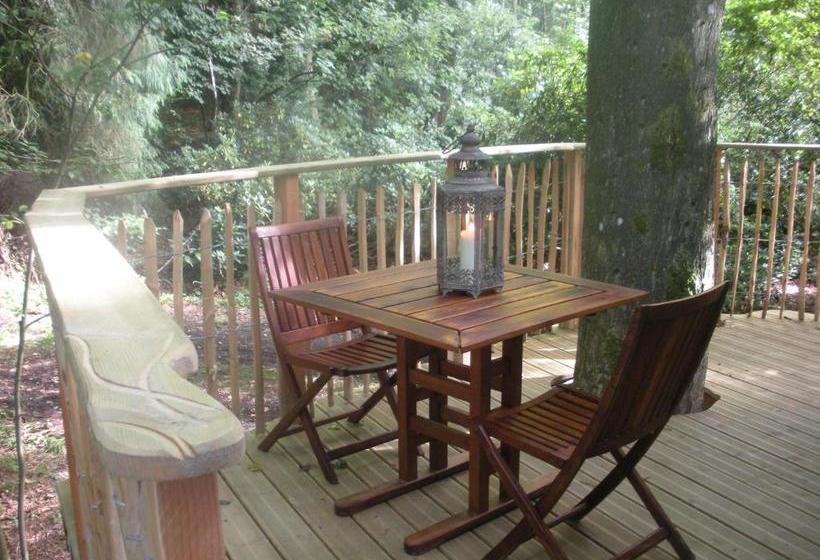 B&b La Cabane Du Bois Dormant