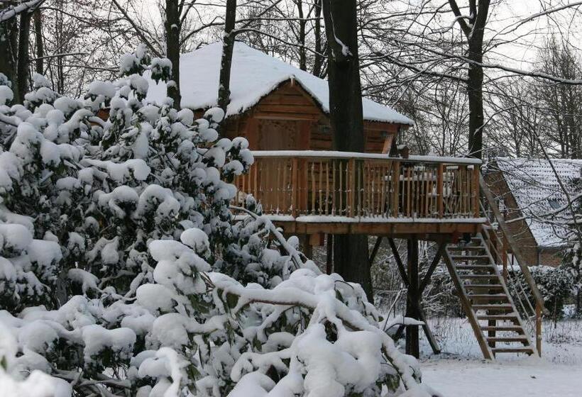 B&b La Cabane Du Bois Dormant