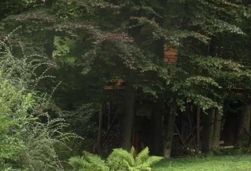 B&b La Cabane Du Bois Dormant