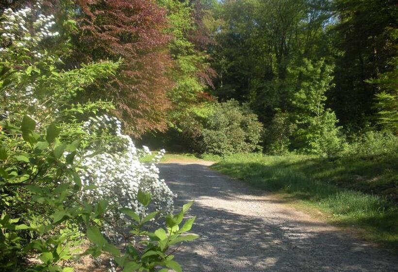 B&b La Cabane Du Bois Dormant