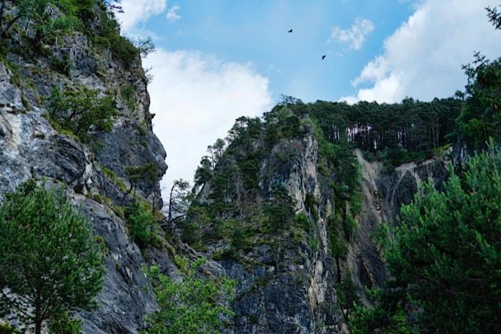 Bed and Breakfast Café Pension Margret