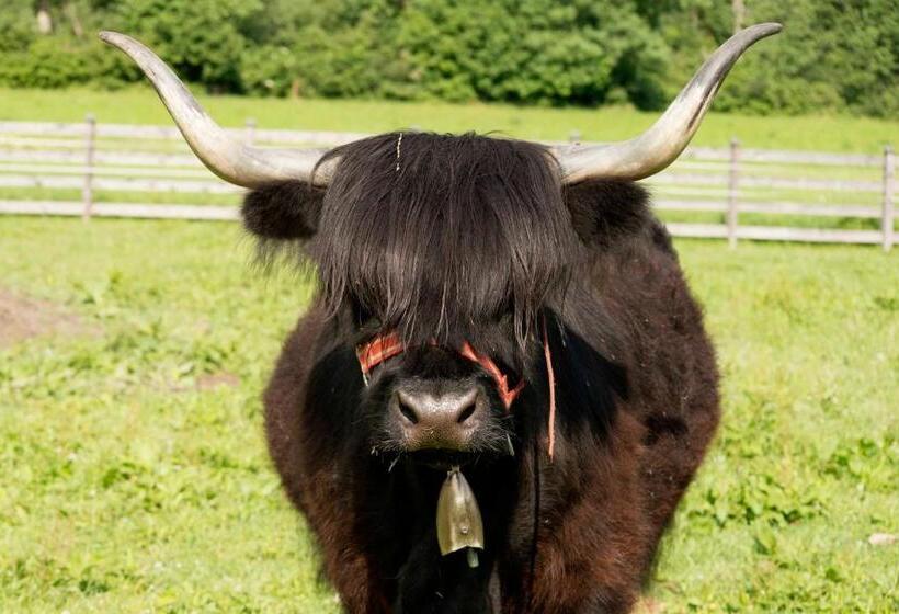 Bed and Breakfast Café Pension Margret