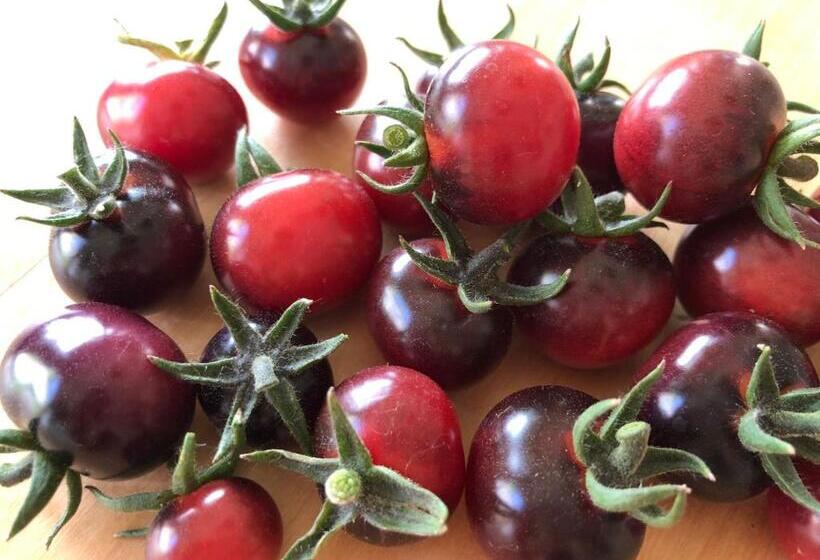 Bed and Breakfast Café Pension Margret