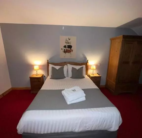 Aamiaismajoitus (B&B) Dingle Marina Lodge
