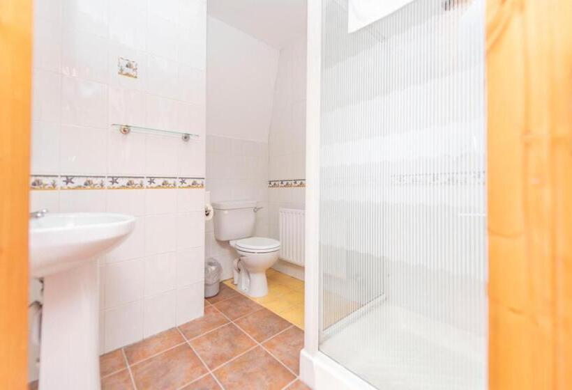 مبيت وإفطار Dingle Marina Lodge