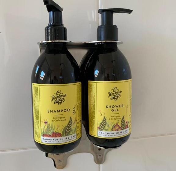 مبيت وإفطار Dingle Marina Lodge