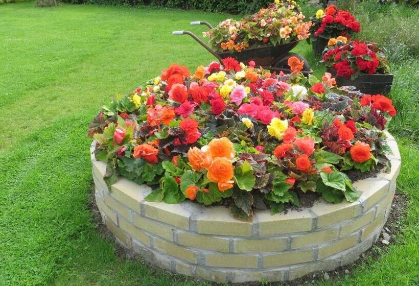 مبيت وإفطار Heritage Accommodation