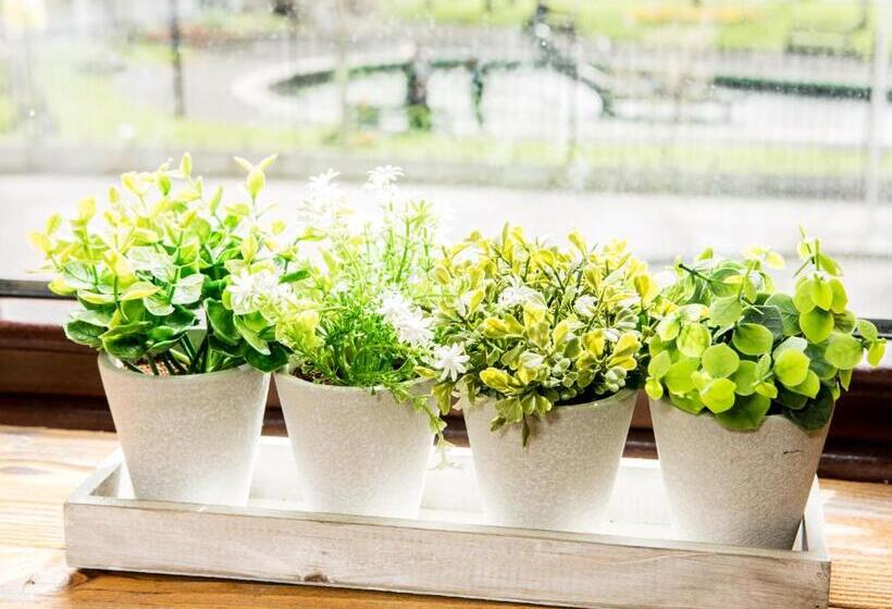 צימר Tipperary House Dublin