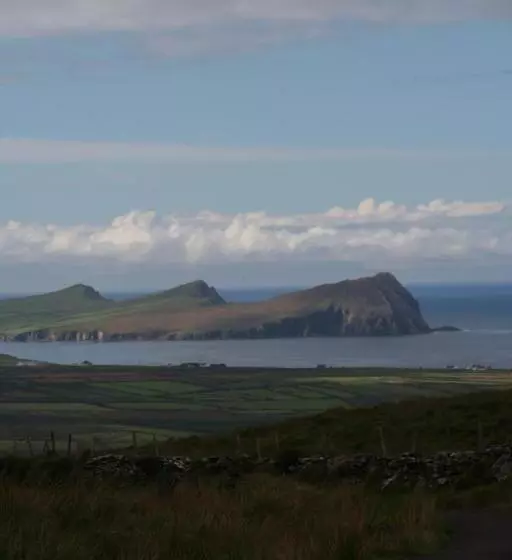 Coill An Rois B&b