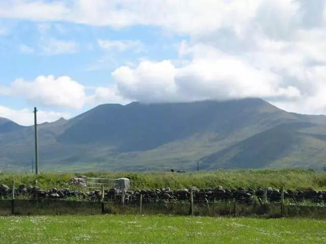 Coill An Rois B&b