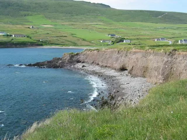 Coill An Rois B&b