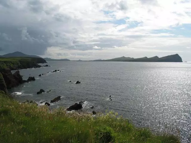 Coill An Rois B&b