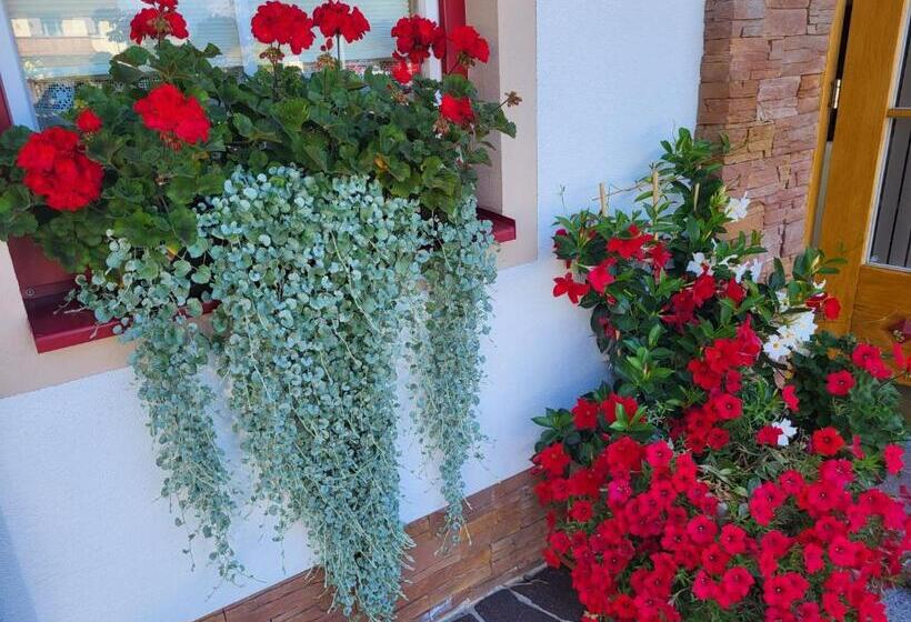 ホテル Garni Landhaus Trenkenbach