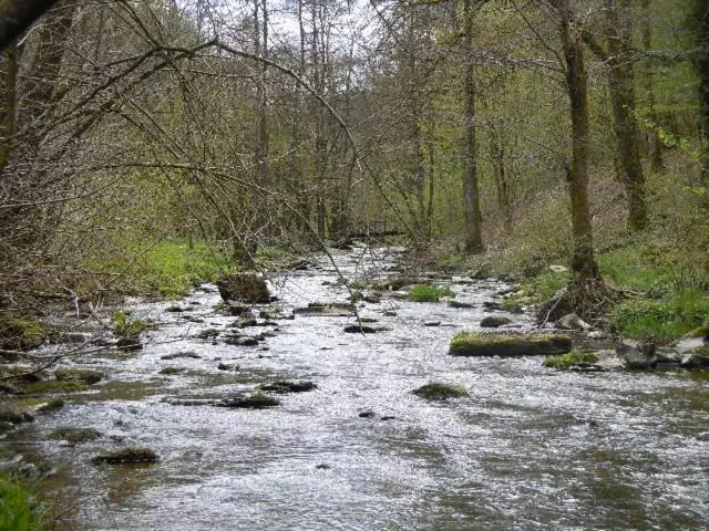 هتل Le Barbouillon