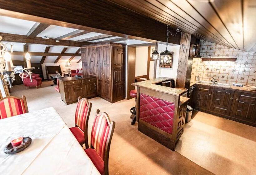 בית מלון כפרי Olympia