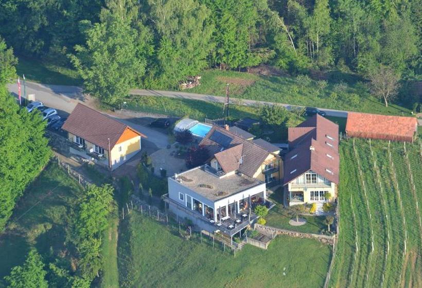 Отель Villa Rosa