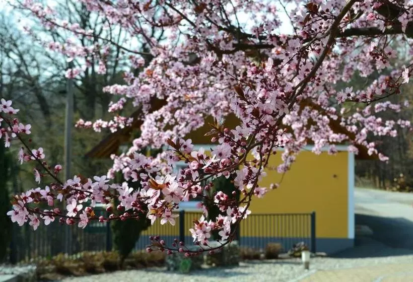 Hotel Villa Rosa