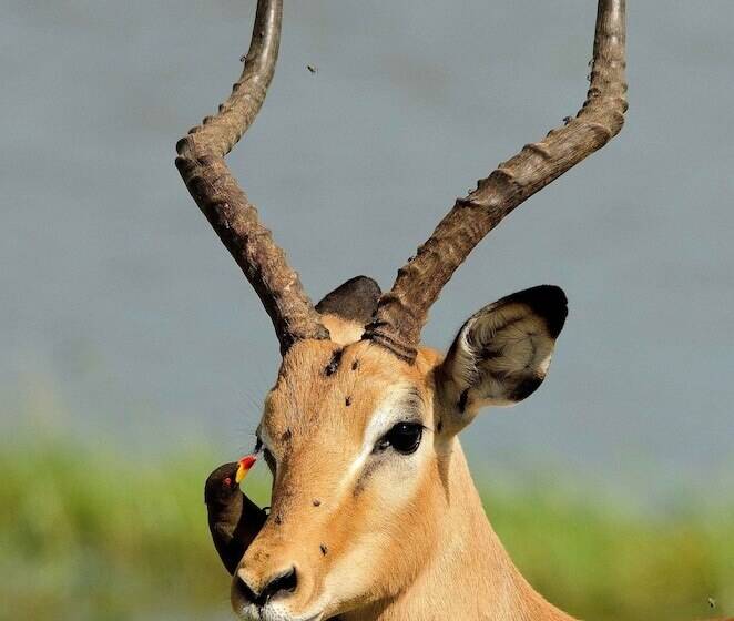 تختخواب و صبحانه The Old House