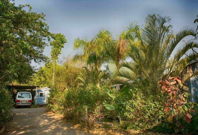 تختخواب و صبحانه The Old House