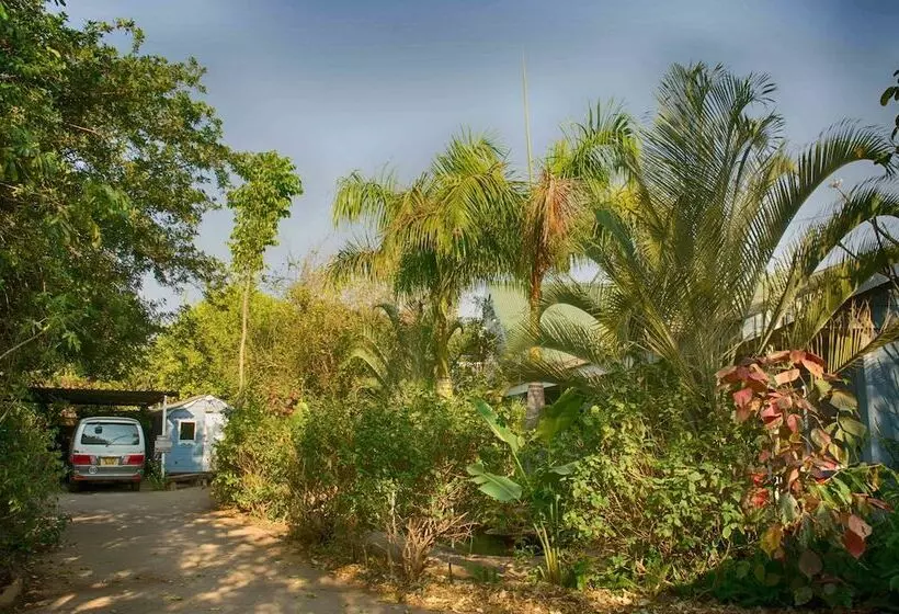 تختخواب و صبحانه The Old House