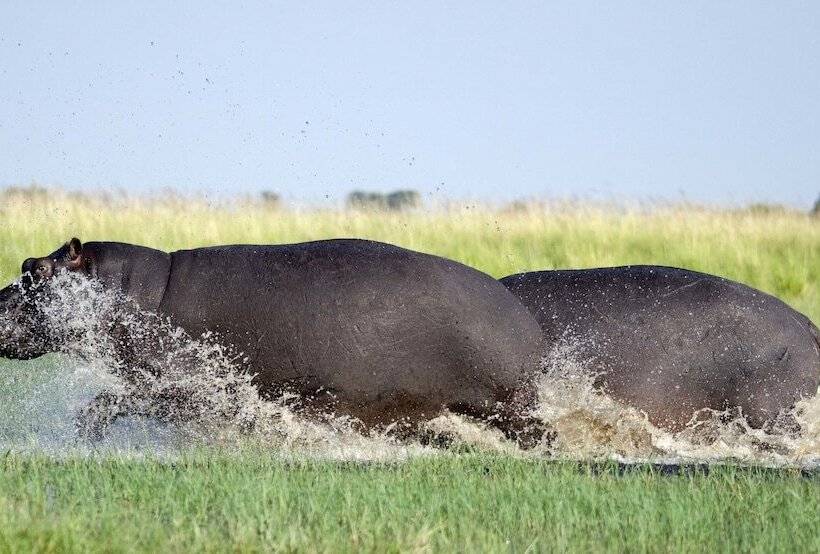 تختخواب و صبحانه The Old House