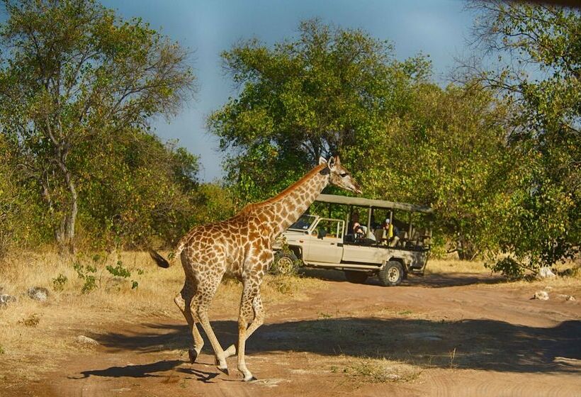 تختخواب و صبحانه The Old House