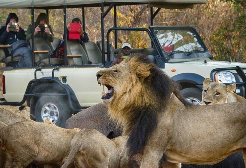 تختخواب و صبحانه The Old House