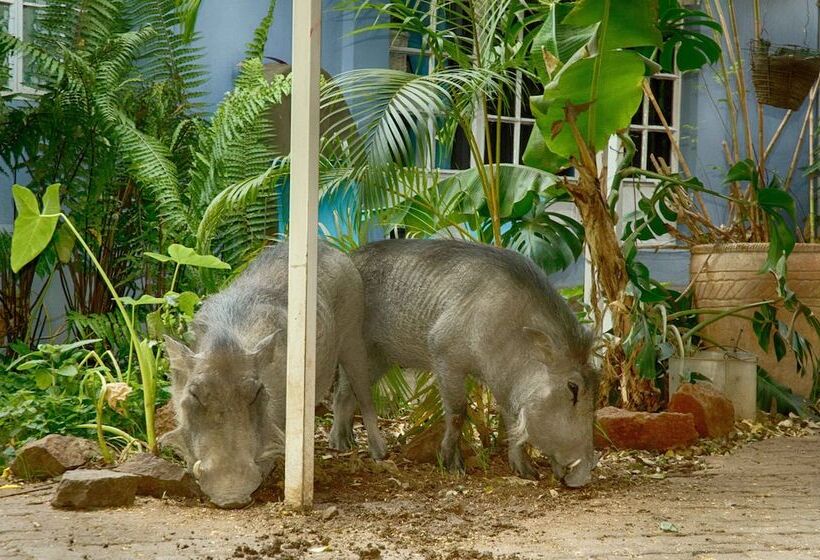 تختخواب و صبحانه The Old House