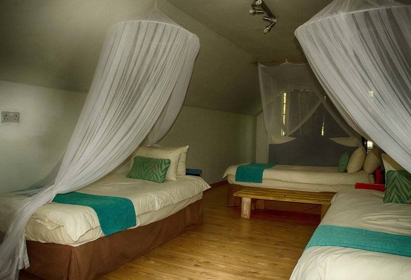 تختخواب و صبحانه The Old House