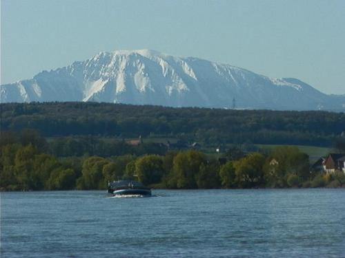 Fischwirtshaus Landmotel Die Donaurast