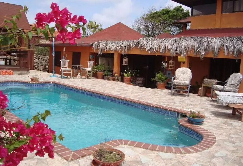 Fuego Mio Bed & Breakfast