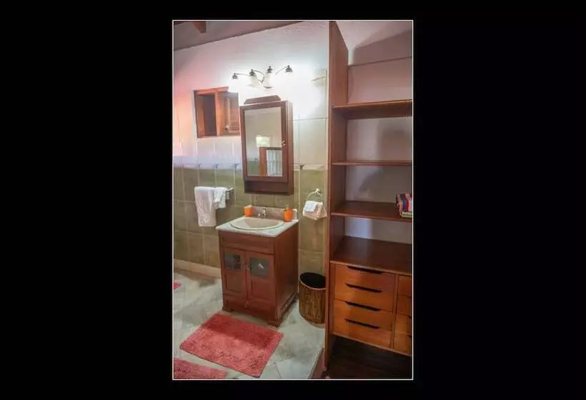 Fuego Mio Bed & Breakfast