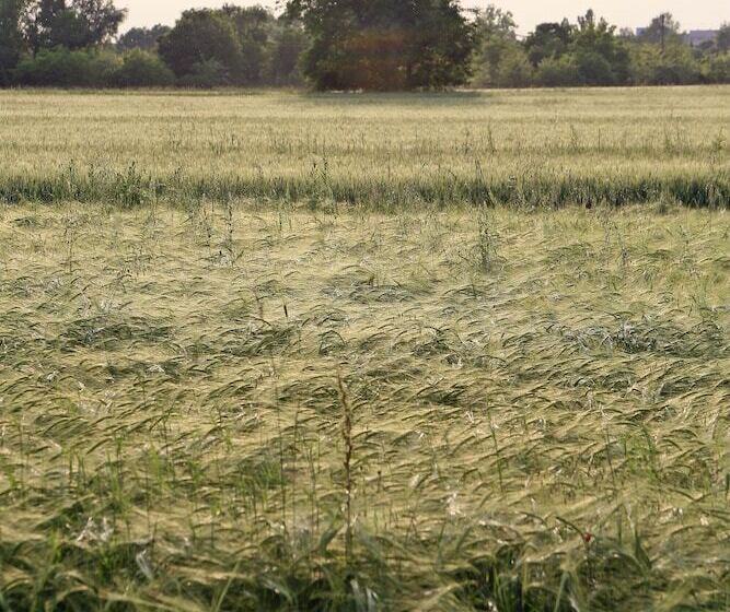 هتل Agriturismo Argaland