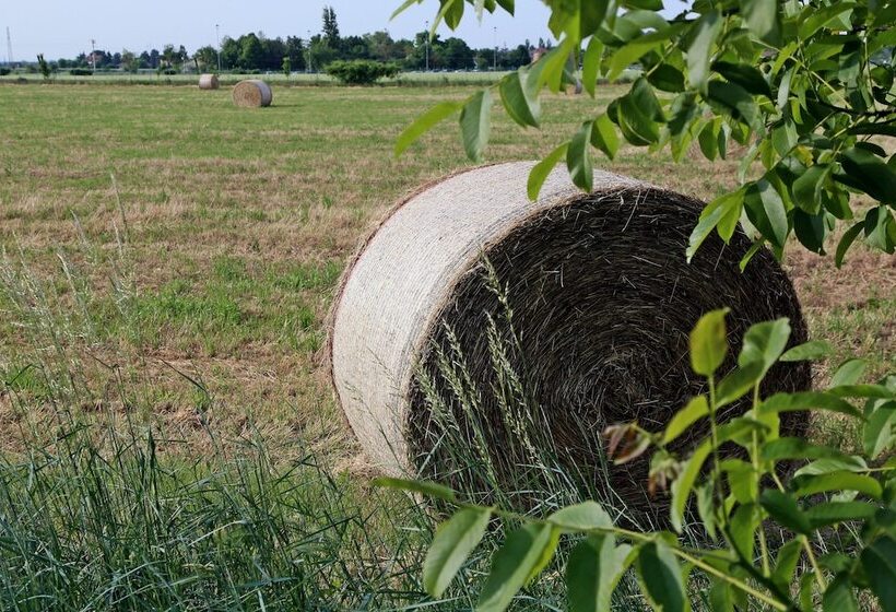 هتل Agriturismo Argaland